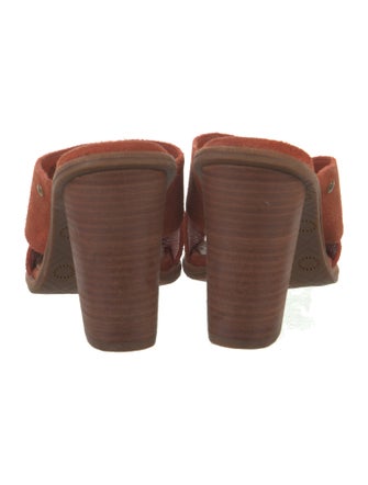 UGG Suede Slides