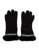 UGG Suede Winter Gloves