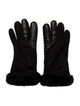 UGG Suede Winter Gloves