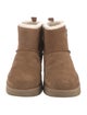 UGG Suede Boots