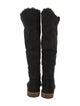 UGG Suede Fur Trim Boots