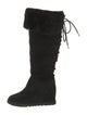 UGG Suede Lace-Up Boots