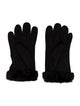 UGG Shearling Gloves