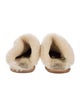 UGG Suede Mules