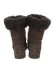 UGG Suede Boots