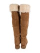 UGG Suede Boots