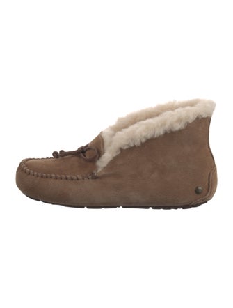 UGG Suede Bow Accents Lace-Up Boots