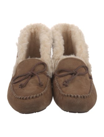 UGG Suede Bow Accents Lace-Up Boots