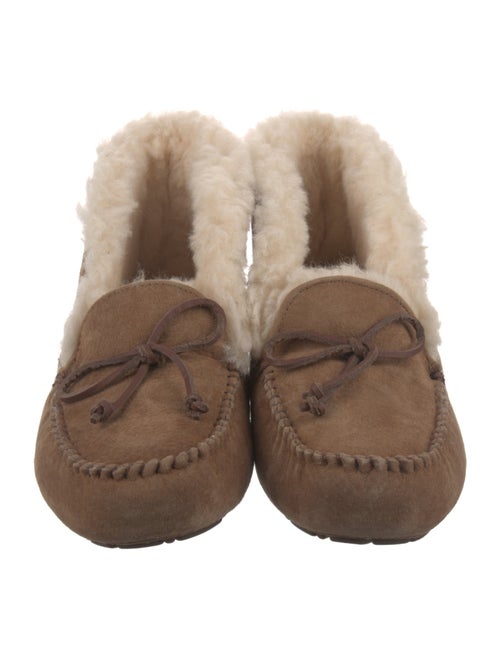 UGG Suede Bow Accents Lace-Up Boots