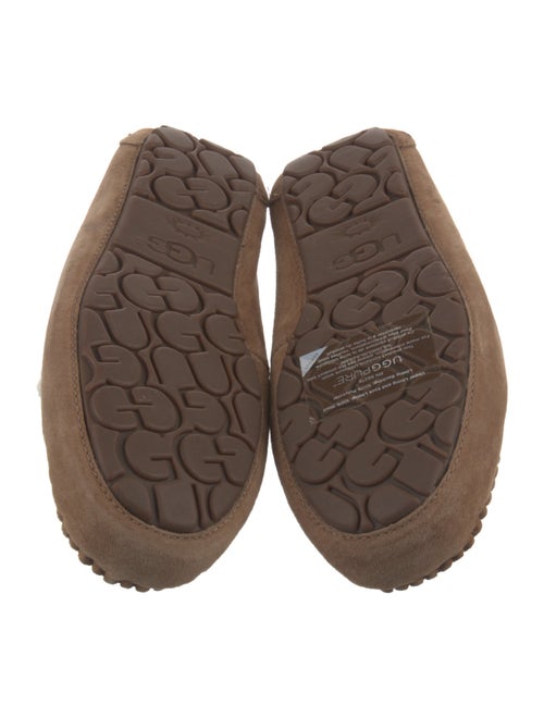 UGG Suede Bow Accents Lace-Up Boots