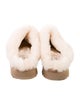 UGG Suede Mules