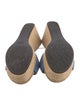 UGG Signature Logo Suede Espadrilles