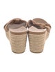 UGG Suede Espadrilles
