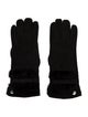 UGG Suede Winter Gloves