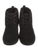UGG Suede Sneakers