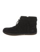 UGG Suede Lace-Up Boots