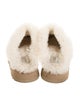 UGG Shearling Mules