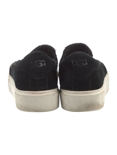UGG Suede Sneakers
