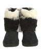 UGG Fur Boots