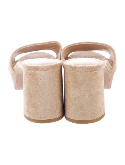Veronica Beard Suede Slides