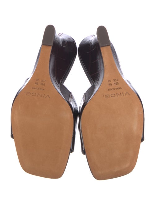 Vince Printed Slides