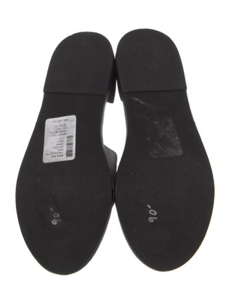 Vince Canvas Printed Slides