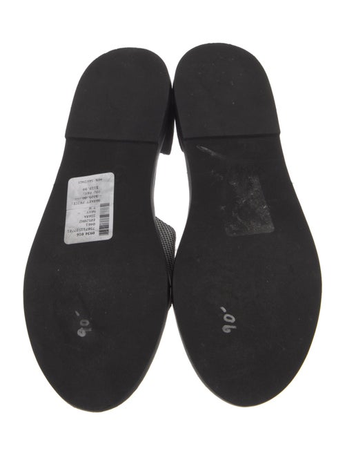 Vince Canvas Printed Slides
