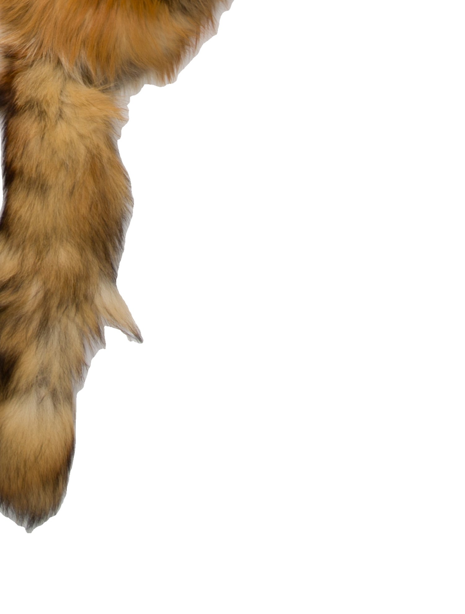 Vintage - Unbranded Red Fox Scarf