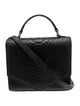 Emily Cho Python Messenger Bag