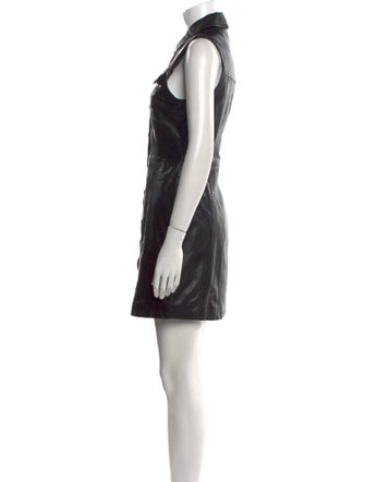 Walter Baker Lamb Leather Mini Dress