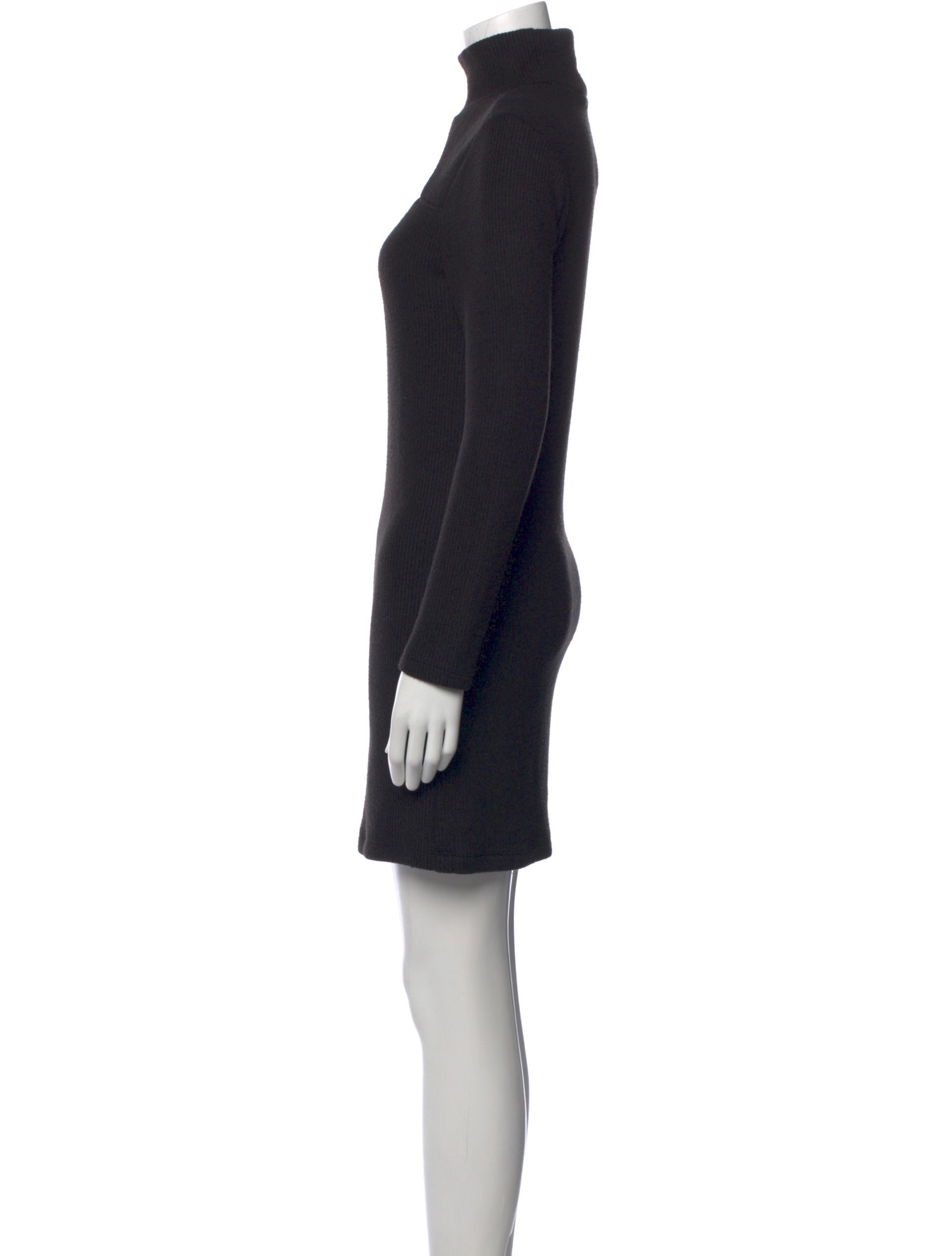 Walter Baker Turtleneck Mini Dress