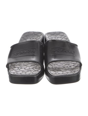 Coach 1941 Rubber Slides