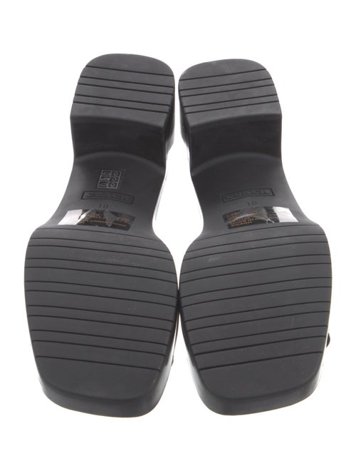 Coach 1941 Rubber Slides