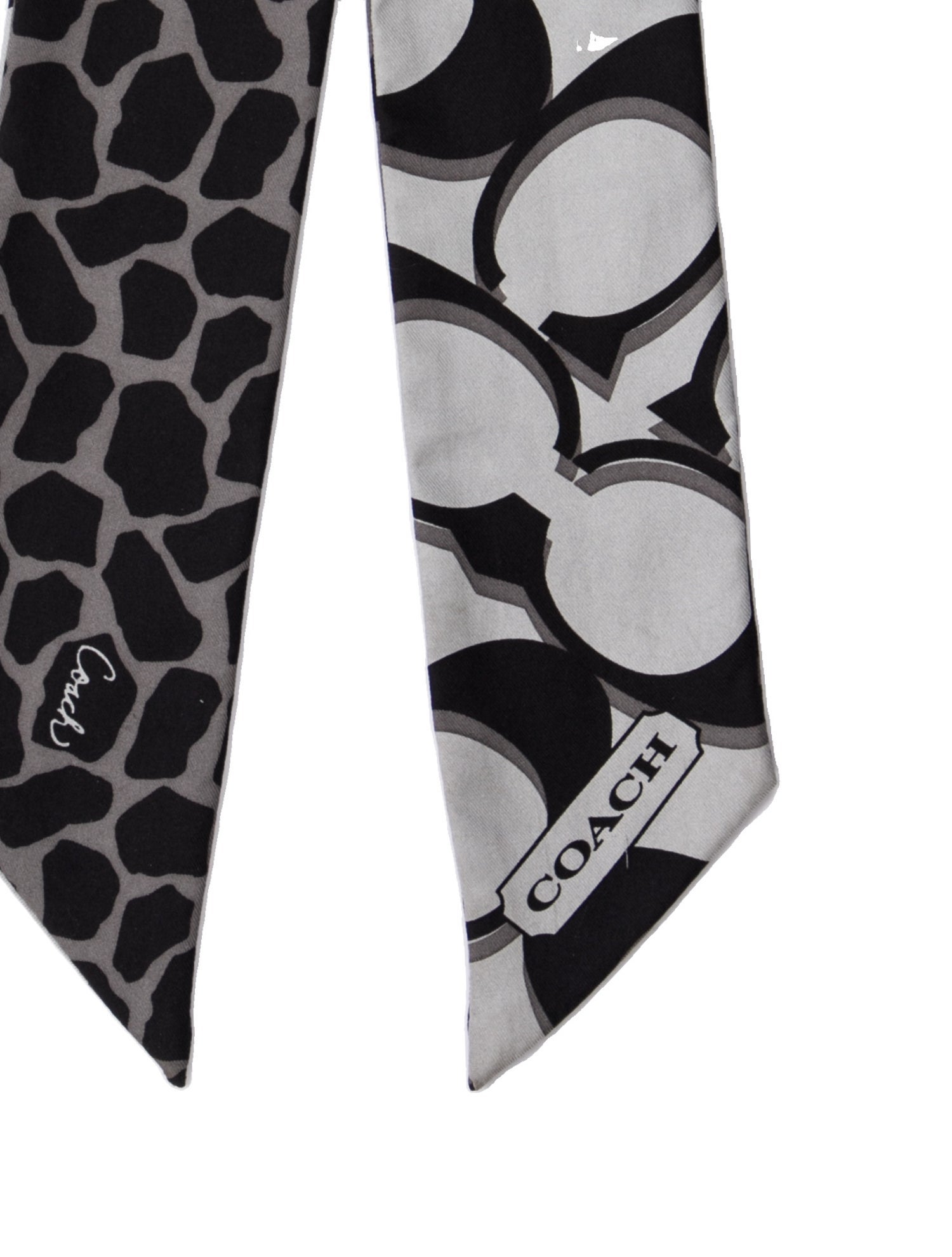 Coach Printed Scarf