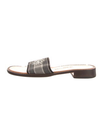 Stubbs & Wootton Canvas Graphic Print Slides