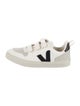 Veja Low Top Sneakers