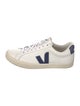 Veja Leather Printed Sneakers