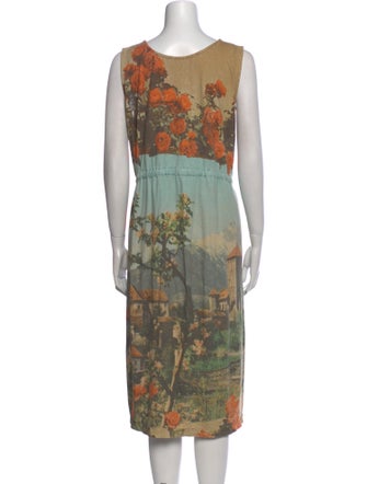 Anntian Printed Midi Length Dress
