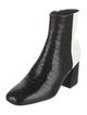 Freda Salvador Crocodile Chelsea Boots