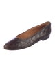 Ralph Lauren Crocodile Ballet Flats