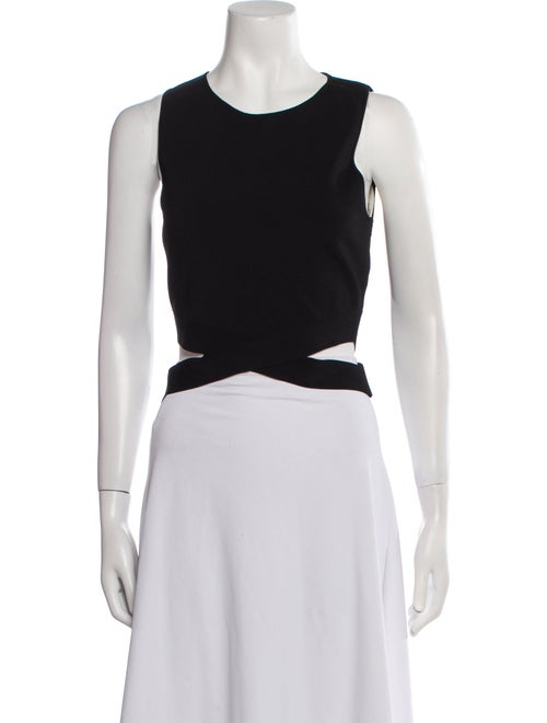 Ramy Brook Scoop Neck Sleeveless Crop Top
