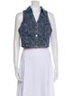 Ramy Brook Paisley Print Sleeveless Crop Top