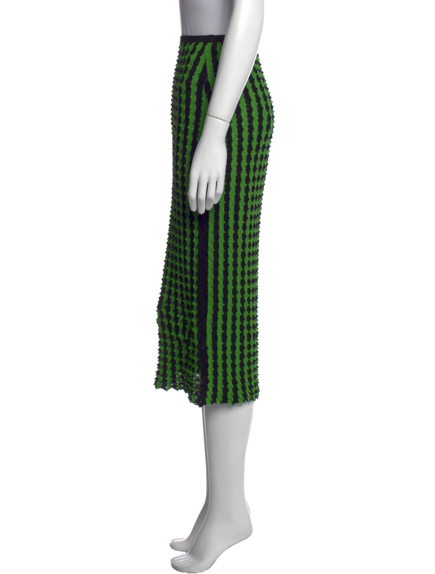 Zankov Printed Knee-Length Skirt