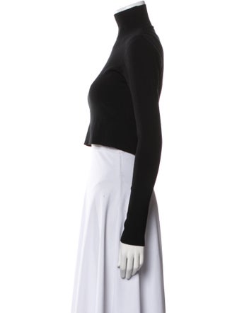 Zeynep Arçay Turtleneck Long Sleeve Crop Top