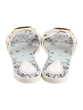 Zimmermann Printed Slides