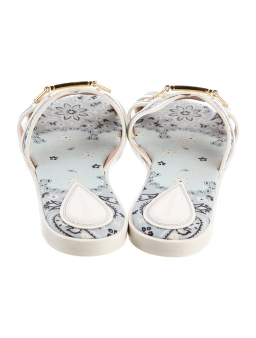 Zimmermann Printed Slides