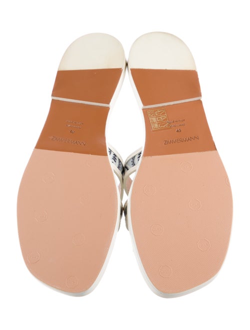 Zimmermann Printed Slides