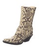 Zimmermann Alligator Animal Print Combat Boots