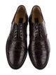 Zelli Crocodile Oxfords