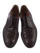 Zelli Crocodile Derby Shoes